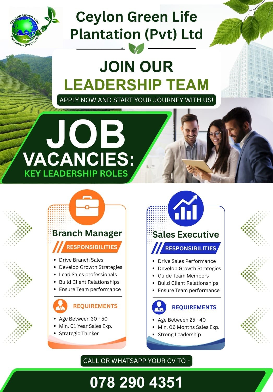 Sales Executive