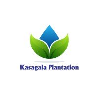 Kasagala Green Plantation Colombo branch logo
