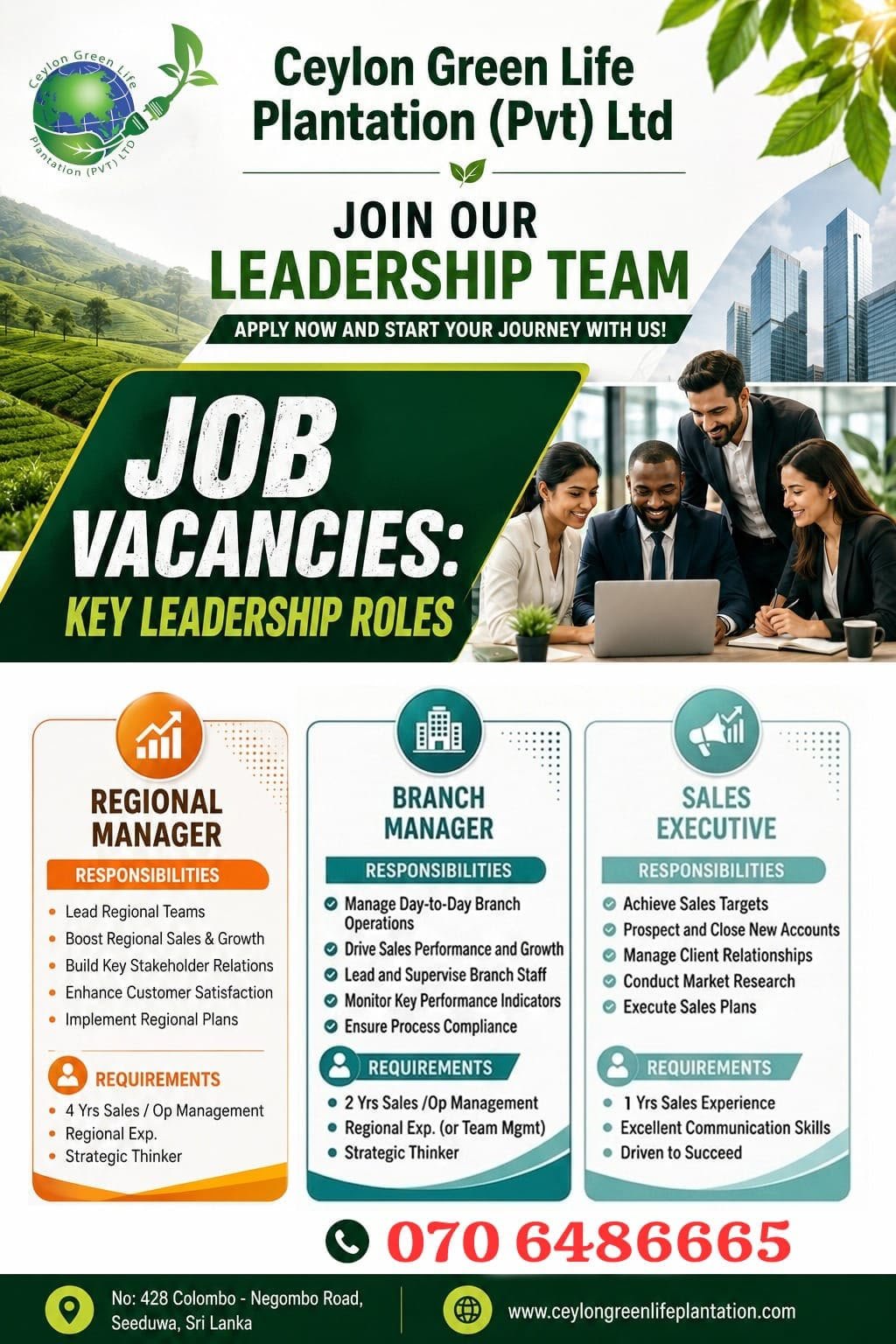 Sales Executive