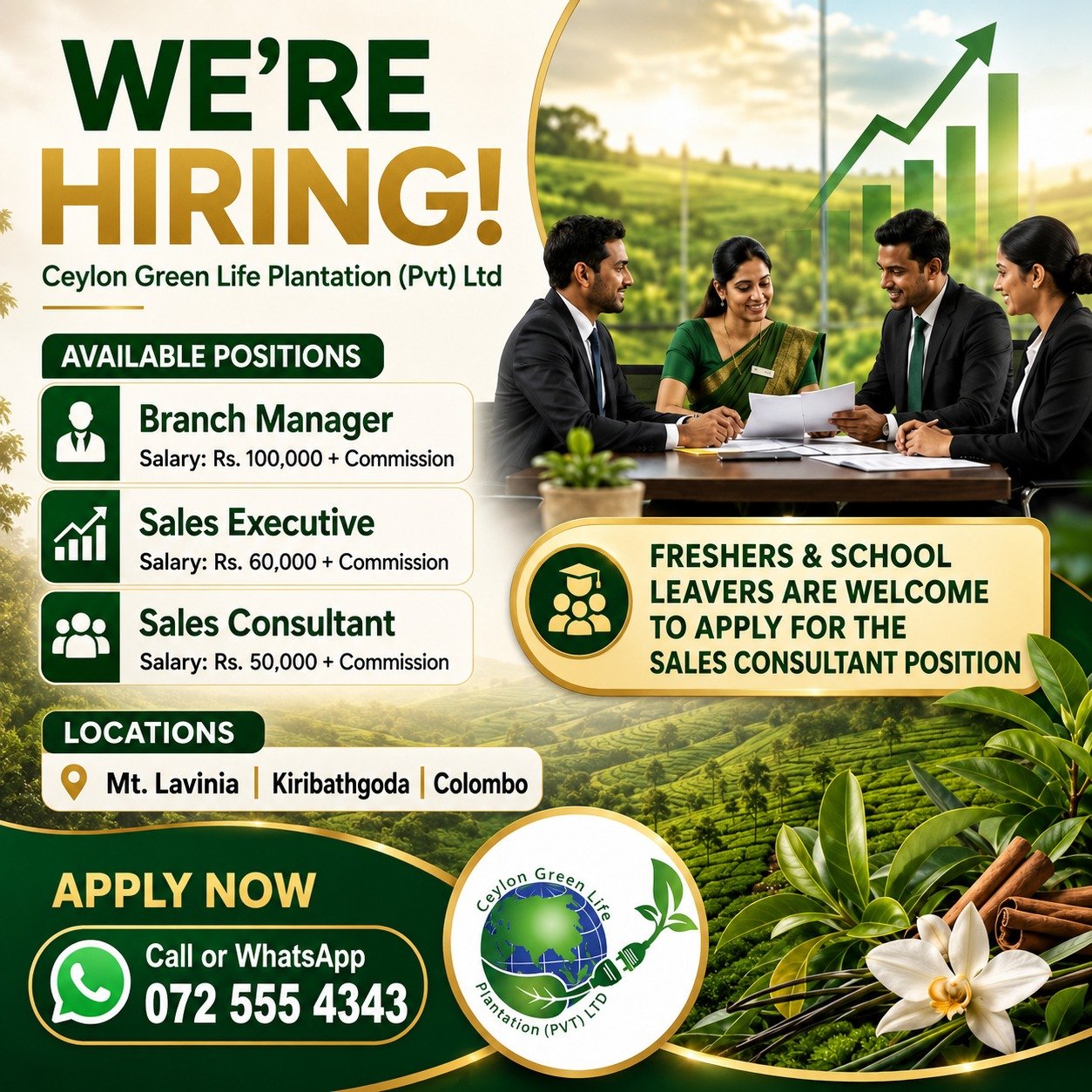 Sales Executive