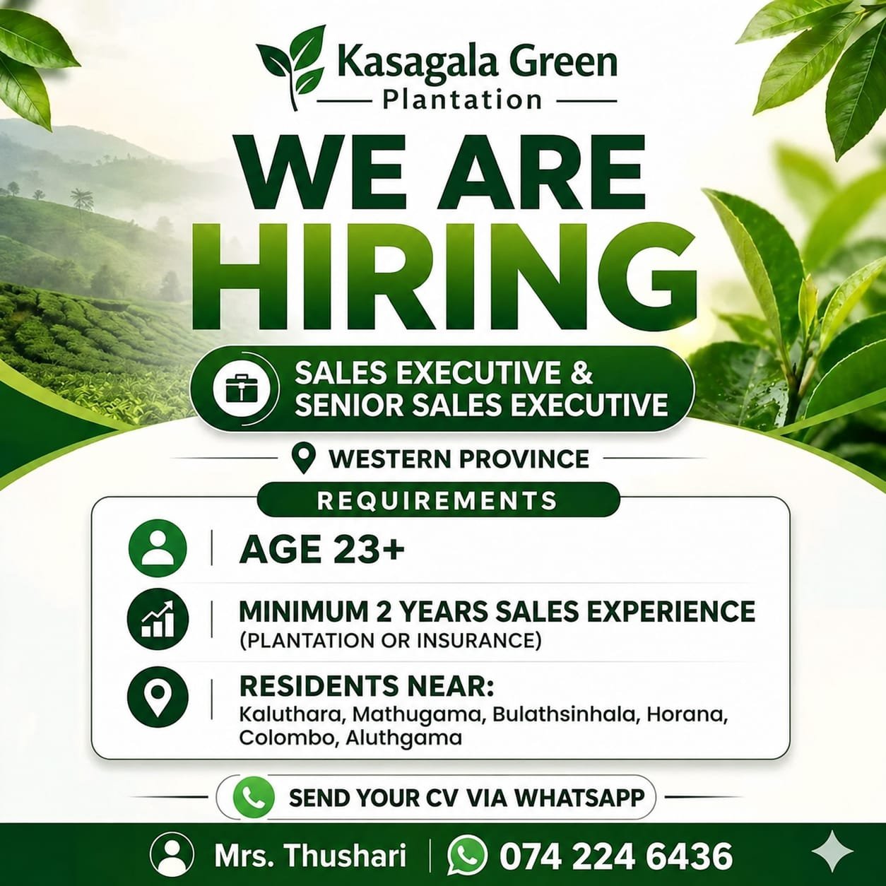 Sales Executive