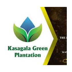 KASAGALA GREEN PLANTATION (PVT)LTD logo