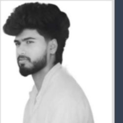 Candidate profile